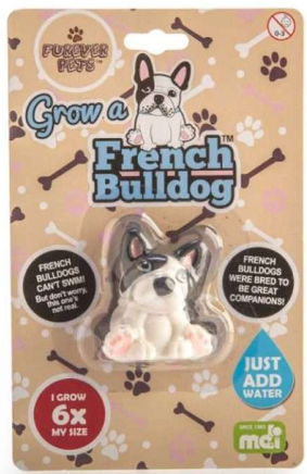 Grow a French Bulldog toy