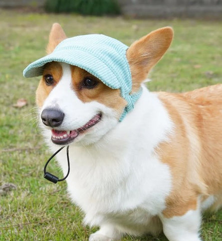 Corduroy Dog Hats