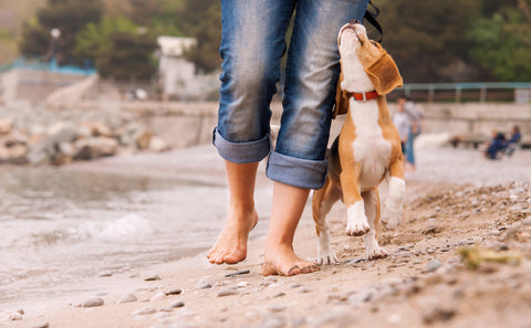 Walk