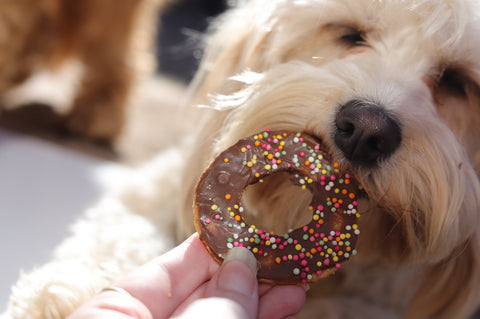 Treats