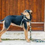 On Duty OG No-Pull Training Harness - The Flying Dog n Co