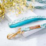 Sweet Like Honey - Daisy Fields Soft Lead