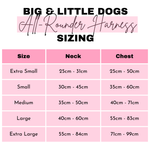 THE ALL-ROUNDER DOG HARNESS: Spring Fling