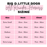 THE ALL-ROUNDER DOG HARNESS: Spring Fling