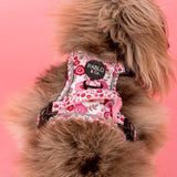 Primrose: No Pull Adventure Dog Harness
