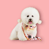 Berrily Ever After Collar - The Flying Dog n Co