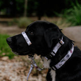 Evergreen Halter  + Safety Clip