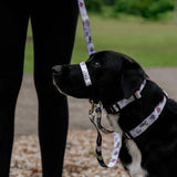 Evergreen Halter  + Safety Clip