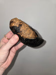 Cow hoof - kangaroo and peanut butter