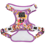 THE ALL-ROUNDER DOG HARNESS: Spring Fling