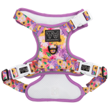 THE ALL-ROUNDER DOG HARNESS: Spring Fling