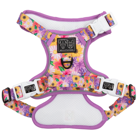THE ALL-ROUNDER DOG HARNESS: Spring Fling