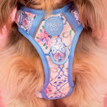 Petal: No Pull Adventure Harness