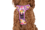 THE ALL-ROUNDER DOG HARNESS: Spring Fling