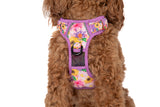 THE ALL-ROUNDER DOG HARNESS: Spring Fling
