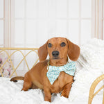 Sweet Like Honey - Daisy Fields Sailor Bow Tie
