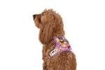 THE ALL-ROUNDER DOG HARNESS: Spring Fling