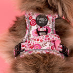 Primrose: No Pull Adventure Dog Harness