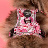 Primrose: No Pull Adventure Dog Harness