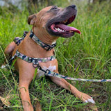 On Duty OG No-Pull Training Harness - The Flying Dog n Co