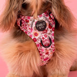 Primrose: No Pull Adventure Dog Harness