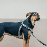 On Duty OG No-Pull Training Harness - The Flying Dog n Co
