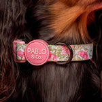 Flora & Fern: Dog Collar