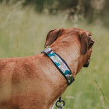 On Duty Martingale Training Collar - The Flying Dog n Co