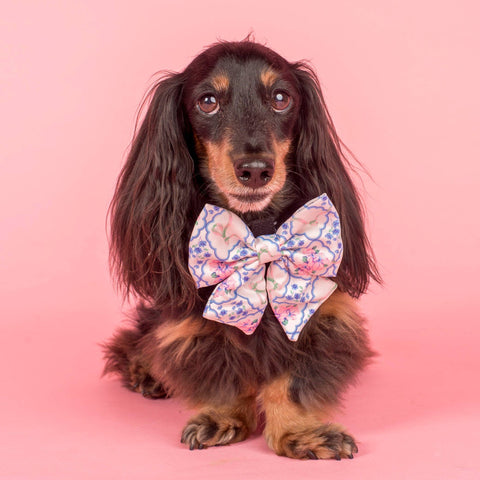 Petal: Sailor Bow