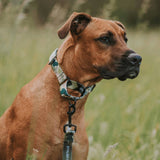 On Duty Martingale Training Collar - The Flying Dog n Co