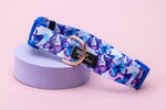 Butterfly Ballet Dog Collar | Value Range Dog Collar