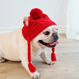 Dog Beanie