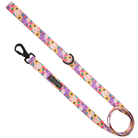 DOG LEASH: Spring Fling