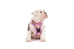 THE ALL-ROUNDER DOG HARNESS: Spring Fling