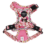 Primrose: No Pull Adventure Dog Harness
