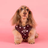 Polka Dots: Adjustable Harness - The Flying Dog n Co