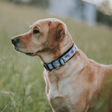 Evergreen Martingale Training Collar