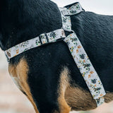 Evergreen OG No-Pull Training Harness - The Flying Dog n Co