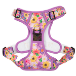 THE ALL-ROUNDER DOG HARNESS: Spring Fling