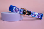 Butterfly Ballet Dog Collar | Value Range Dog Collar