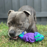 Happy Staffy Co - Camo The Chameleon