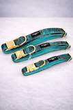 Emerald City - adjustable soft collar - The Flying Dog n Co