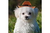 Doggie Cow Boy Hat
