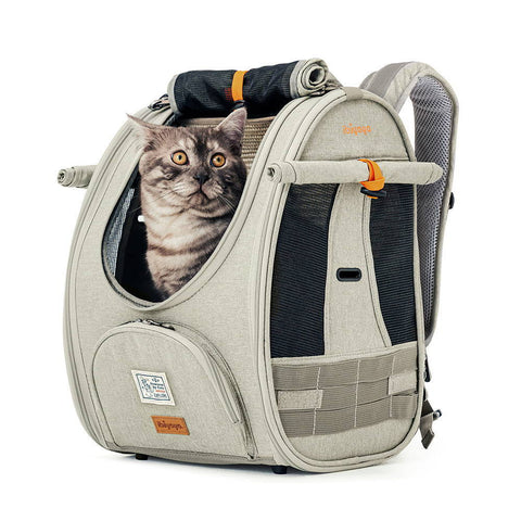 Adventure cat carrier