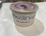 Flying dog Berry-Liscious Frozen Yoghurt - **PICK UP ONLY** - The Flying Dog n Co