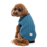 A small brown poodle wearing a blue cable-knit sweater, photographed against a clean white background.