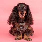 Green Plaid: Adjustable Harness - Pablo & Co - The Flying Dog n Co