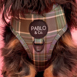 Green Plaid: Adjustable Harness - Pablo & Co - The Flying Dog n Co