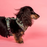 Green Plaid: Adjustable Harness - Pablo & Co - The Flying Dog n Co