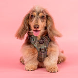 Green Plaid: No Pull Adventure Harness - The Flying Dog n Co